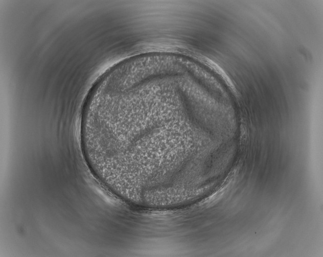 X0000112061035200909010958