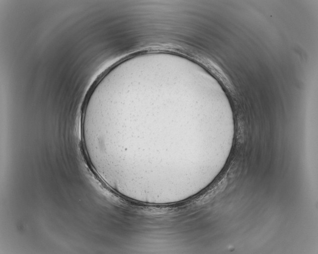 X0000112061036200909010958