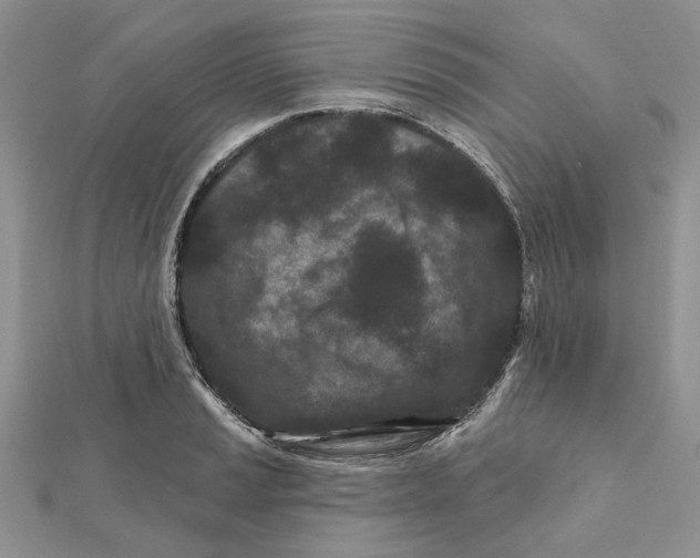 X0000112061037200909010958