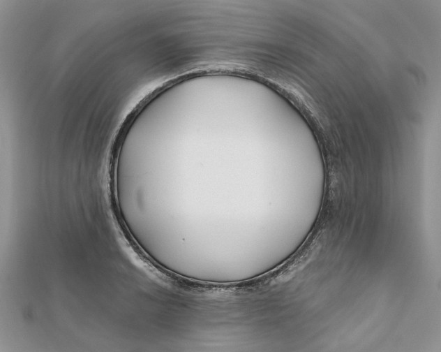 X0000112061038200909010958