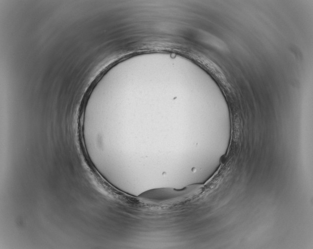 X0000112061039200909010958