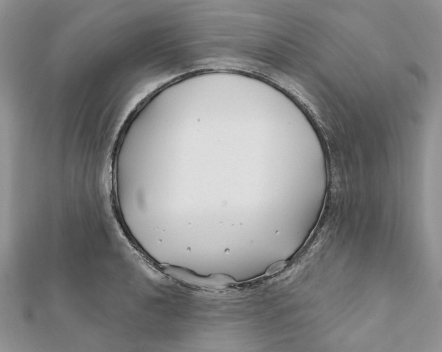 X0000112061040200909010958