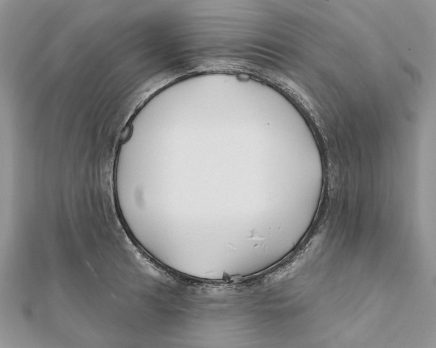 X0000112061041200909010958