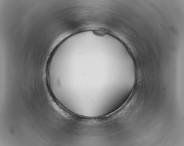 X0000112061042200909010958