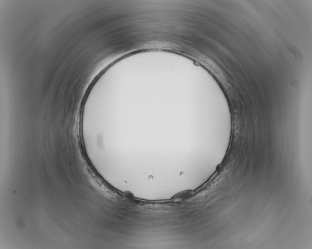 X0000112061044200909010958