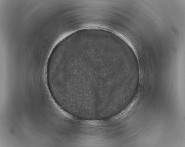 X0000112061045200909010958