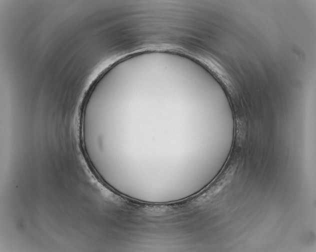 X0000112061046200909010958