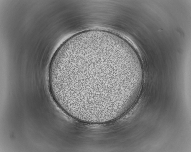 X0000112061048200909010958