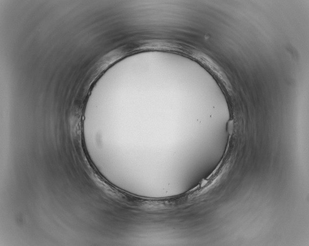 X0000112061049200909010958
