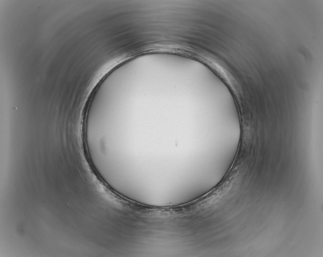 X0000112061050200909010958