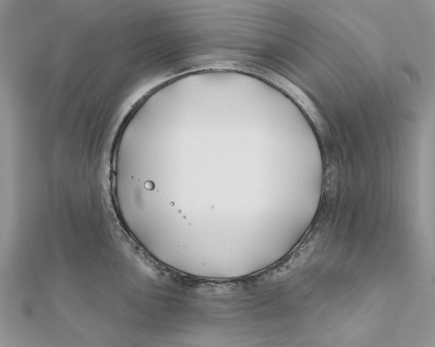 X0000112061051200909010958