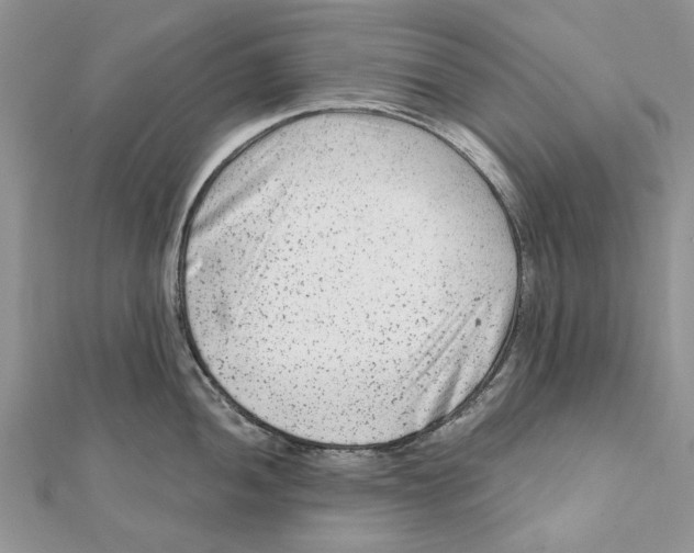 X0000112061052200909010958