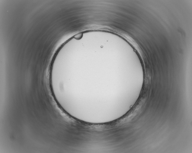 X0000112061053200909010958