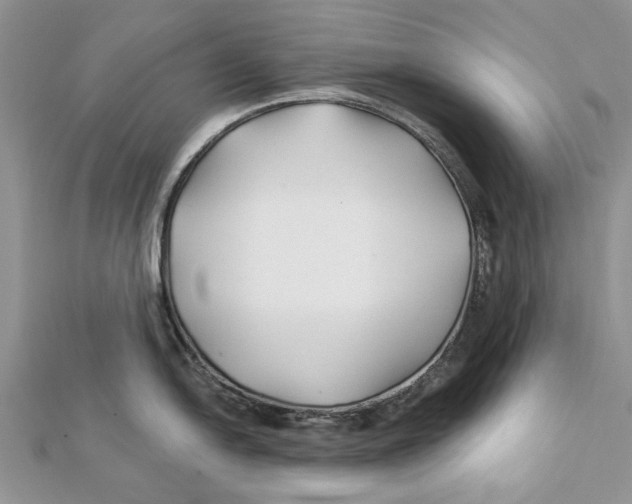 X0000112061054200909010958