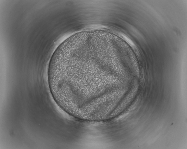 X0000112061055200909010958