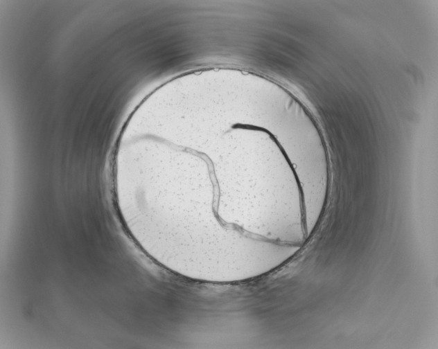 X0000112061056200909010959