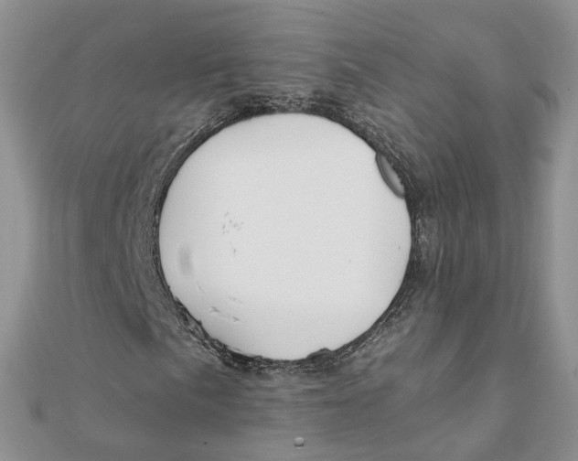 X0000112061057200909010958