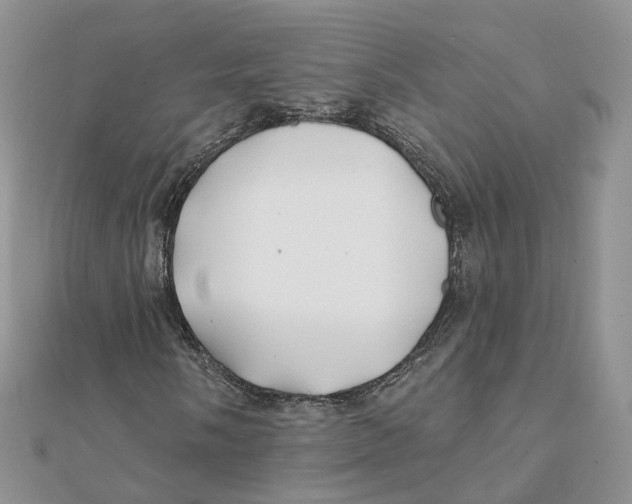 X0000112061058200909010958
