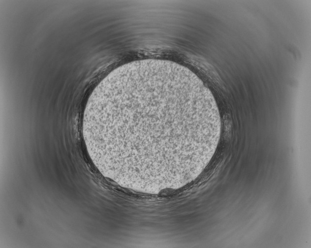 X0000112061060200909010958