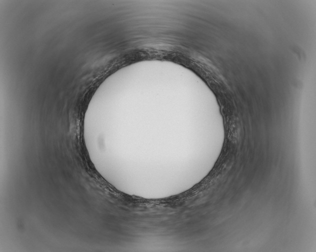 X0000112061061200909010958