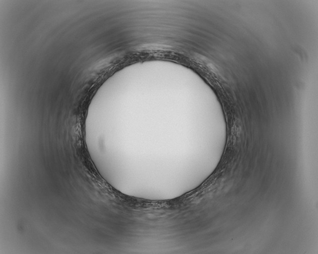 X0000112061062200909010958