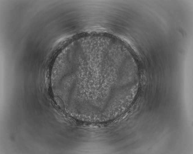 X0000112061063200909010958