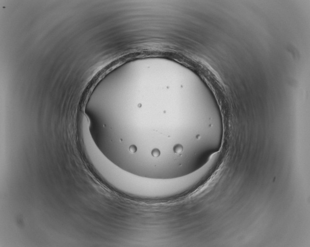 X0000112061065200909010958