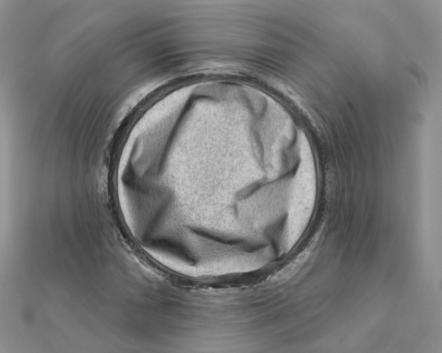 X0000112061066200909010958