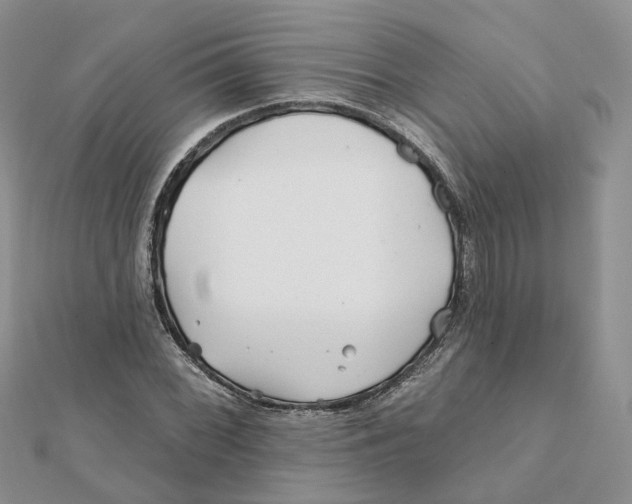 X0000112061068200909010958