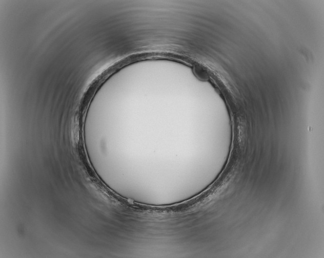 X0000112061069200909010958