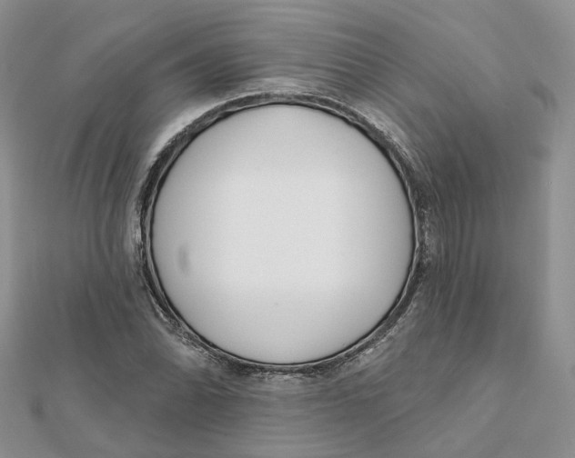 X0000112061070200909010958