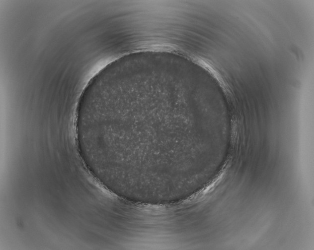 X0000112061071200909010958