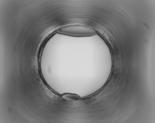 X0000112061072200909010958