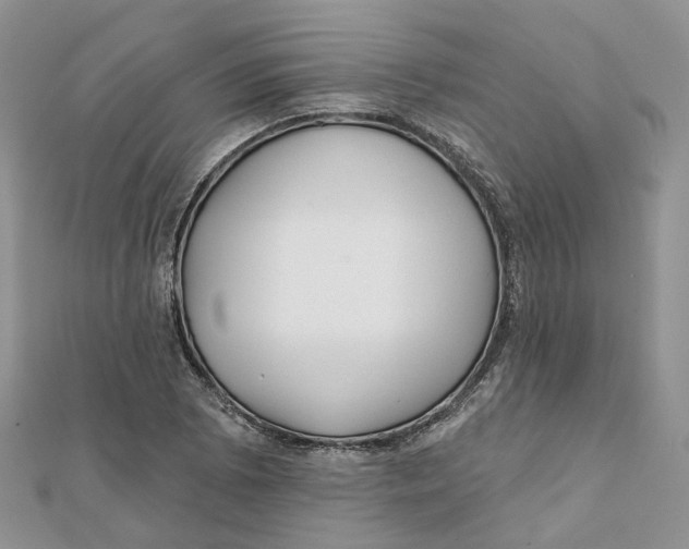 X0000112061073200909010958