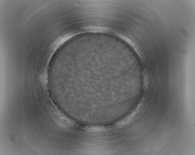 X0000112061074200909010958