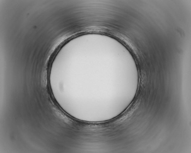 X0000112061075200909010958