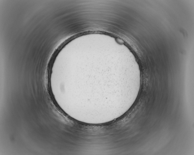 X0000112061076200909010958