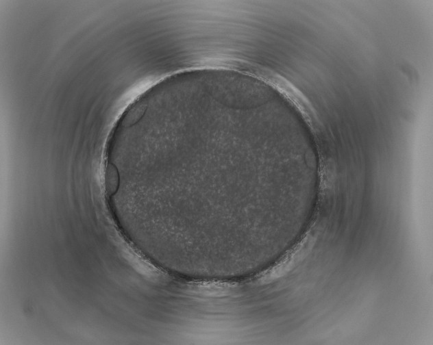 X0000112061077200909010958