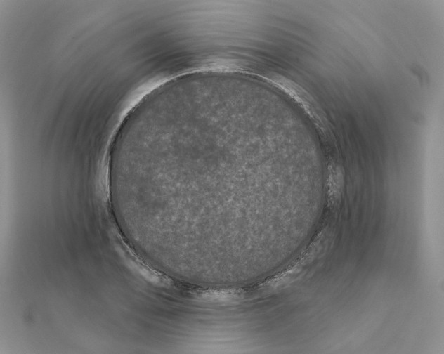 X0000112061078200909010958