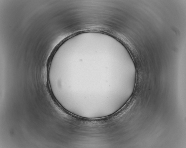 X0000112061079200909010958