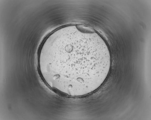 X0000112061080200909010958