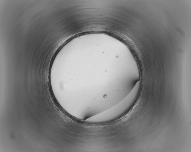 X0000112061081200909010958