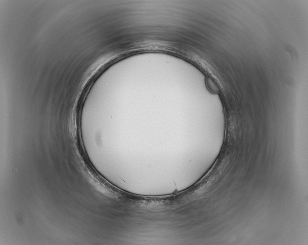 X0000112061082200909010958