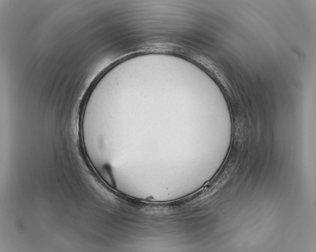 X0000112061083200909010958