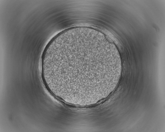 X0000112061084200909010958