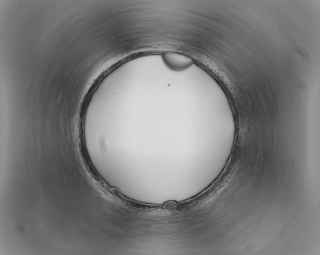 X0000112061085200909010958