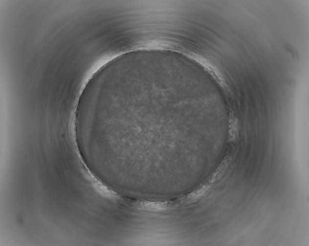 X0000112061086200909010958