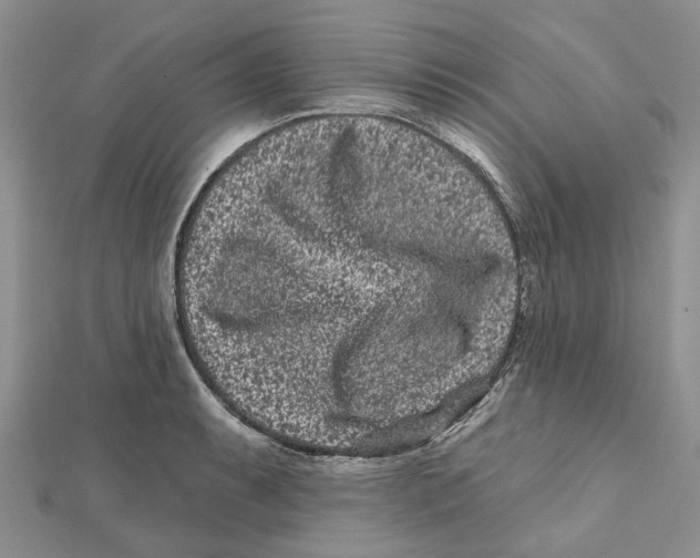 X0000112061087200909010958