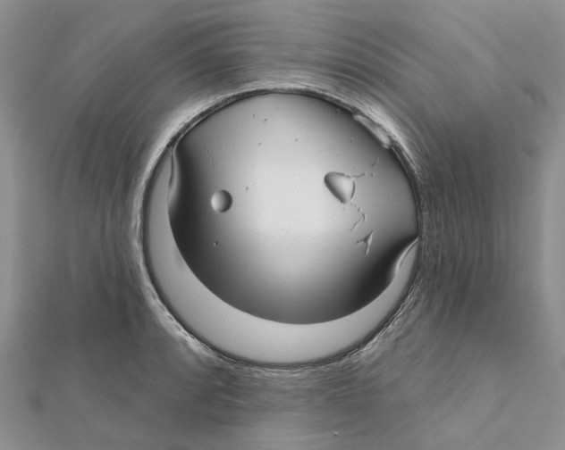 X0000112061088200909010957