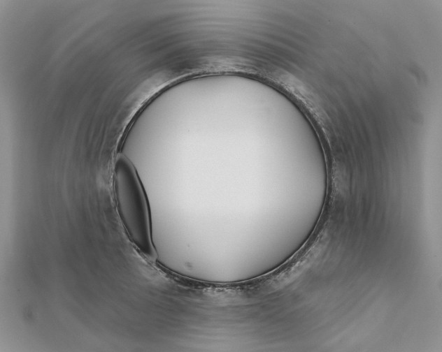 X0000112061089200909010957